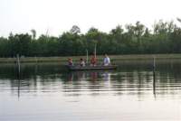 Photo Number 13