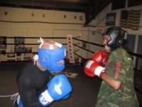 Photo Number 7