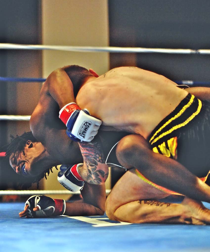 ttt234_01302010.jpg