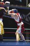 tttscgoldengloves33_small.jpg