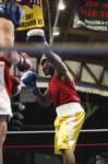 tttscgoldengloves48_small.jpg