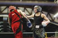 tttscgoldengloves61_small.jpg
