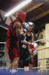 tttscgoldengloves74_small.jpg