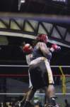tttscgoldenglovesx36_small.jpg
