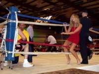 Photo Number 14